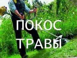 Покос травы, выпильвание кустарника. Гродно и области.