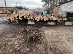 Покупаем кругляк 26