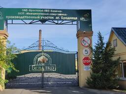 Покупаем зерно. Рожь, тритикале