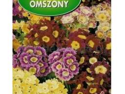 Примула Микс 0,1г. 5905782405201