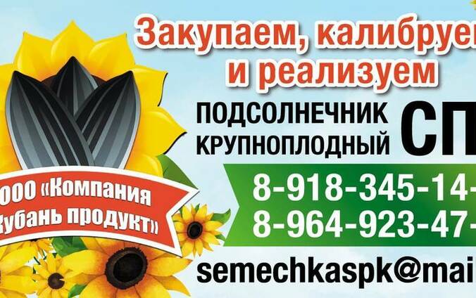Продаем ядро подсолнечника 36-38
