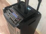 Продам 1200 ватт беспроводную колонку на 12 дюймовом динамике с 2 радиомикрофонами - фото 1