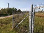 СРОЧНО продам фермерское хозяйство, фундук - фото 3