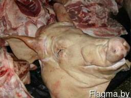 Продам головы свиные без ушей , без языка