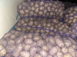 Продам картофель оптом , хорошего качества