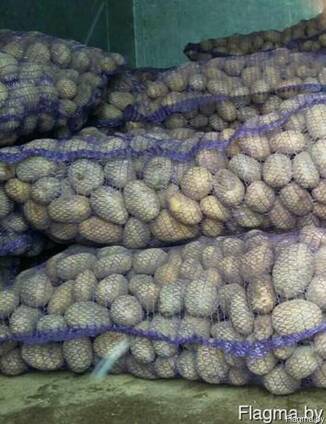 Продам картофель в сетках
