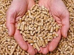 Продам комбикорм свиной, куриный и КРС с дисконтом