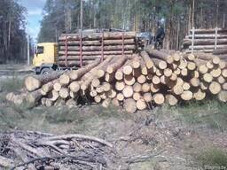 Продам Лес круглый