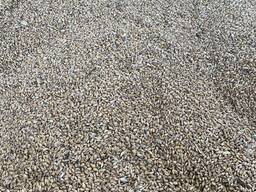 Продам пшеницу, ячмень.