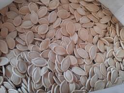 Семечка тыквенная урожай 2025г