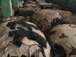 Продам шкуры крс, коровьи, бычьи