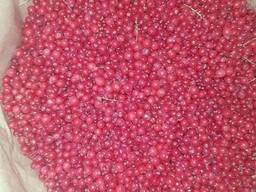 Продам замороженную красную смородину