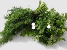 Продам Зелень