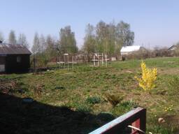 Продам зерновые