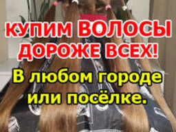 Продать волосы Полоцк, Новополоцк. Куплю волосы. Скупка воло