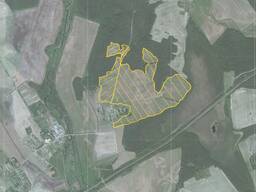 Продаётся фермерское хозяйство (сад яблонь и чёрной смородины), 105.6 га