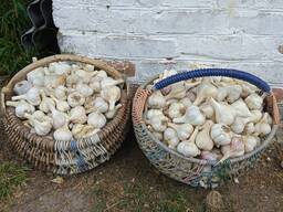 Продукты питания