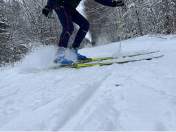 Прокат беговых лыж