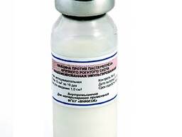 Против пастереллеза КРС иннактивированная эмульсионная вакцина