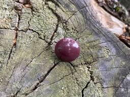 Пуговицы на ножке ТХС