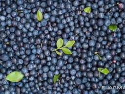 Пюре из черники (полуфабрикат) асептического консервирования