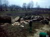 Расчистить участок от кустарников деревьев - фото 4