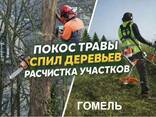 Расчистка и уборка участков в Гомеле под ключ - фото 1