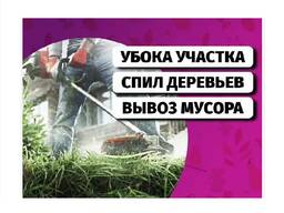 Расчистка участка. Спил деревьев, вырубка кустарников, корчевка пней.