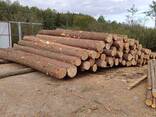 Распил леса на дом - фото 3