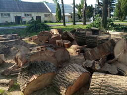 Распилем бревна на дрова