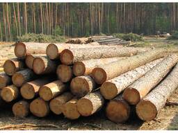 Распиловка кругляка