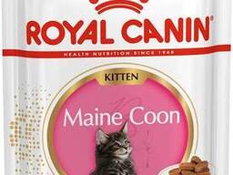Royal Canin Kitten Maine Coon -влажный корм для котят мейн-кунов в соусе.