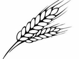 Сельскохозяйственная продукция