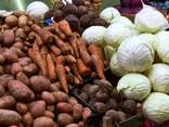 Сельскохозяйственная продукция - фото 1