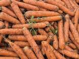 Сельскохозяйственная продукция - фото 1
