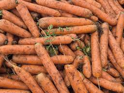 Сельскохозяйственная продукция