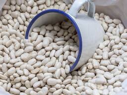 Семена фасоли