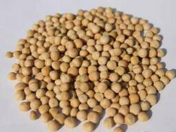 Семена гороха ТИП, ЭСО, САЛАМАНКА, АСТРОНАВТ элита, РС1-РС3