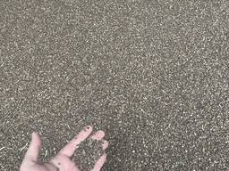 Семена гречихи 1РС Сорт Дикуль