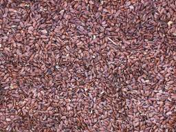 Семена льна технические