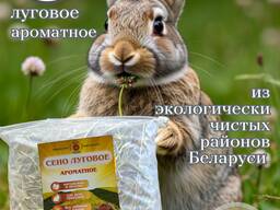 Сено луговое отборное для грызунов