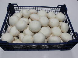 Шампиньоны (2 сорт)