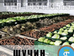 Щучин обеззараживание, дезинфекция, обработка складов, овощехранилищ, картофелехранилищ