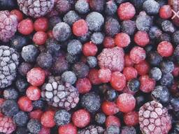 Шоковая заморозка