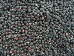 Смородина черная замороженная