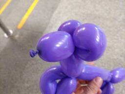 Собака из шариков