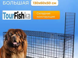 Собаколовка клетка-ловушка для собак складная напрокат