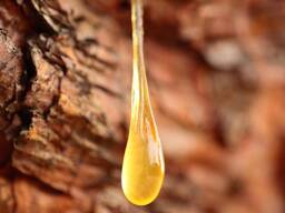 Сосновая смола