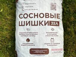 Сосновые шишки | мульчирующий материал | оптовая продажа