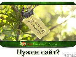 Создание и разработка сайтов, SEO-продвижение, упаковка